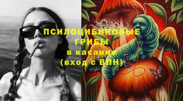 spice Лиски