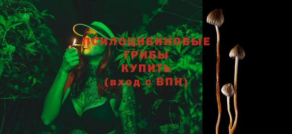 дживик Липки