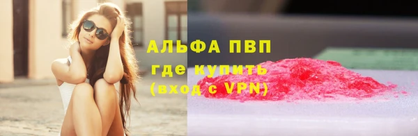 амф Новодвинск