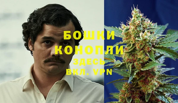 дживик Липки