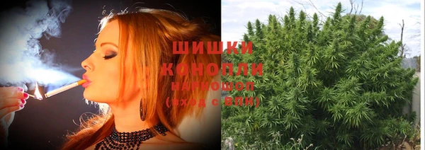 дживик Липки