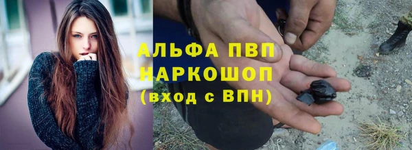 дживик Липки