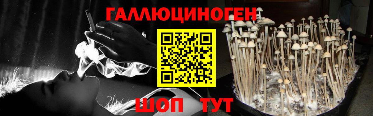 Псилоцибиновые грибы MAGIC MUSHROOMS  Вход с VPN  Обь 