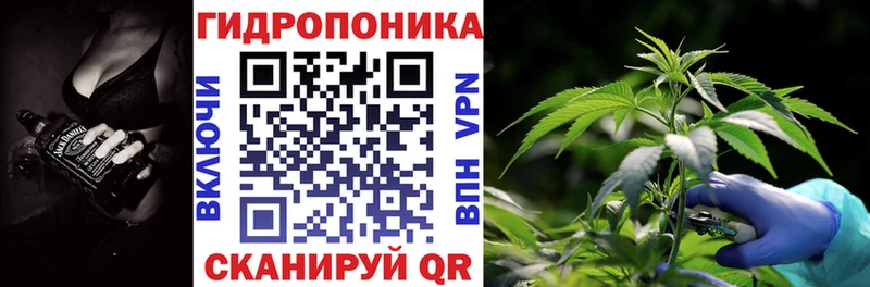 mega как войти мориарти как зайти Шишки марихуана сатива Обь